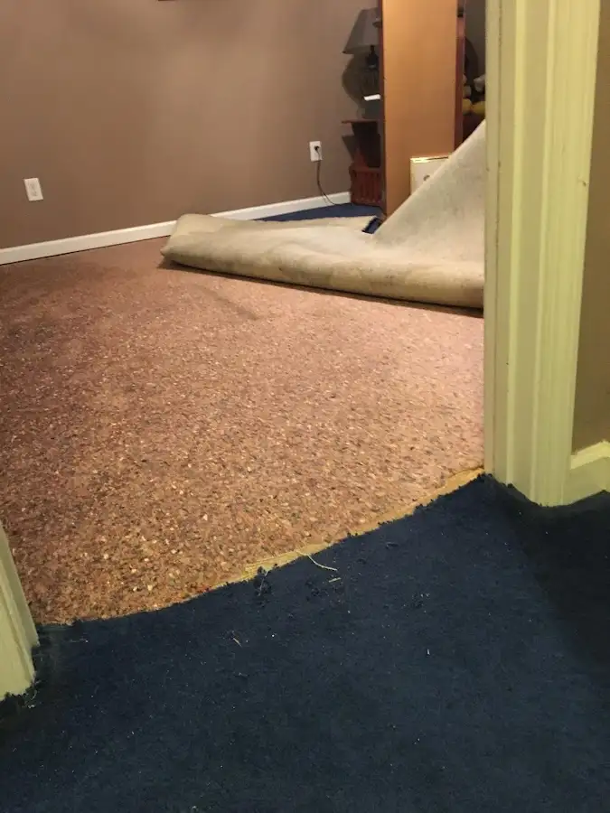 Carpet pad removal revealing water damage during Drying & Dehumidification in Iowa City